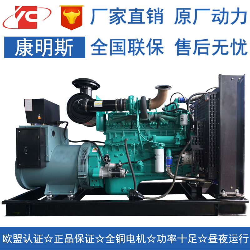 广东200KW柴油发电机组康明斯NT855-GA